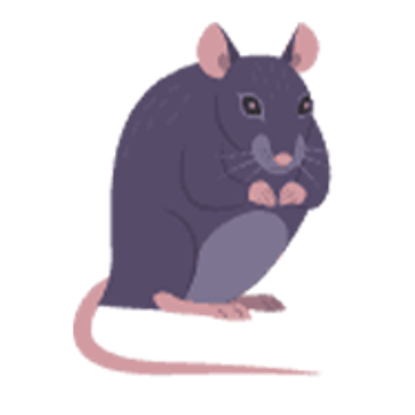 Rodents Photo